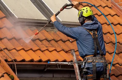 Démoussage et hydrofuge de toiture à Rontalon